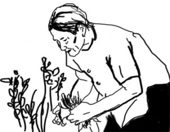 Bà vẫn muốn ở lại đây, là cây cổ thụ già, để cu Tí là chiếc lá sẽ rụng về cội nguồn của nó (hình : http://baohaiduong.vn)