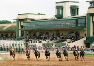 Đường vào trường đua có trăm lần thua, chỉ một lần huề…( ảnh: dantri.com.vn)