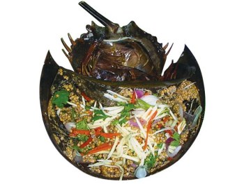 Trứng sam biển làm gỏi. Ảnh: TL