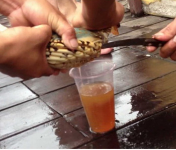 Chừng nào những “người biết chắc” đó đi chợ mua tôm hùm không cần trả giá, thấy mới tin