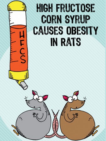 Đường sirô bắp cao fructose (HFCS) được dùng nhiều trong các loại nước giải khát, bánh kẹo,.. chẳng bổ béo gì cho cơ thể, mà lại làm tăng nguy cơ béo phì.