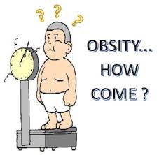 giảm chất béo thì thay thế bằng thứ gì?