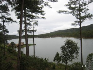 Khi còn bé, Đà Lạt với tôi là cái gì đó mờ mờ, huyền bí và… lạnh. Rồi 5 năm sau, Đà Lạt trong tôi lại mang một dáng dấp rõ ràng hơn, và yêu lắm…