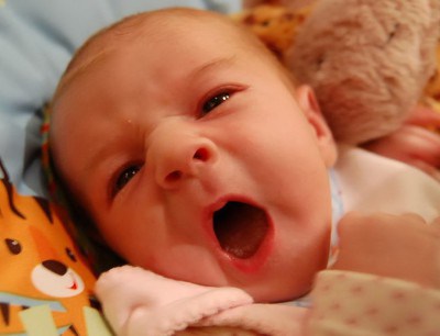 Tổ chức WHO và UNICEF rất ngán mấy tay quảng cáo sữa dụ các bà mẹ xài sữa bổ sung cho trẻ ăn dặm, rồi lơ là cho con bú