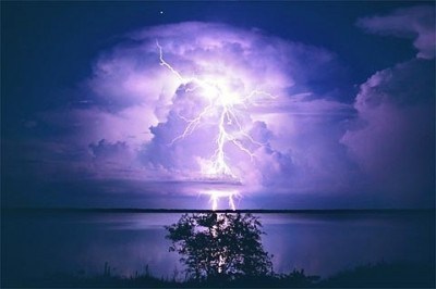 Phát triển kinh tế bền vững cần sự sáng tạo và sáng tạo phải đi kèm với hủy diệt. Hủy diệt cái cũ đã hư thối mục nát để thay chúng bằng cái mới năng động hiện đại.