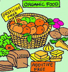 organic-food-1
