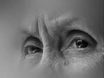 Biết bao đau đớn tôi đã sinh ra nó, một đời thương yêu và chăm sóc... thế mà giờ nó không chịu được tôi, xem như một sự phiền hà cần phải loại bỏ. Đó là lỗi tại tôi cưng chiều quá, và giờ thì tôi hiểu là mình vẫn còn có thể làm thêm một điều nữa cho nó. Và có lẽ cũng là làm cho chính mình.