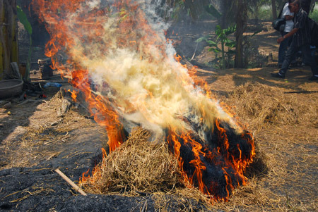 Muốn cá ngon thì phải chọn loại rơm thật vàng, thật sạch. Ngọn lửa rơm cháy đượm sẽ giúp cá chín đều...