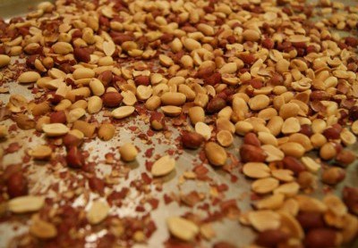 Vỏ đậu phộng chứa khá nhiều các chất chống oxýt hoá giúp ngăn ngừa các bệnh ung thư, động mạch vành, nhưng vỏ đậu phộng lại ức chế các vi khuẩn có lợi, và thúc đẩy sự tăng trưởng các vi khuẩn có hại