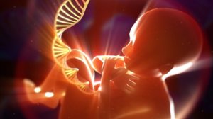 Trong khoảng tuần lễ thứ 6 đến tuần lễ thứ 13 của thai kỳ, những đứa trẻ bắt đầu ngọ nguậy trong bụng mẹ và rờ rẫm túi nước ối nên những góc cạnh và những dấu chỉ tay từ đó thành hình 