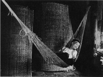 Nợ gì thì trả được, chứ nợ tình mẫu tử trả sao cho nổi. Vay không lãi, mà nợ cứ chồng lên nợ !