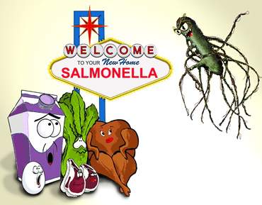 Nguồn lây nhiễm salmonella là thịt gia cầm, gà vịt, heo bò, sữa trứng, rau quả xanh, nhiễm qua tay chân, dụng cụ nhà bếp dao thớt thiếu vệ sinh nhất. Thực phẩm nên chiên xào hấp luộc kỹ để triệt tiêu salmonella