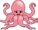 octopus-1
