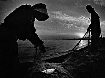 Chân lý khoa học không phải lúc nào cũng suông sẻ. Đôi khi nó cũng chịu chung số phận bầm dập như nạn nhân ô nhiễm.